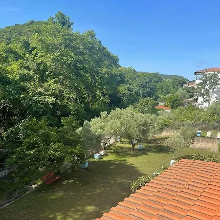 Exohi Vrasná